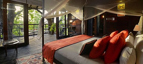 View from the Pench Tree Lodge