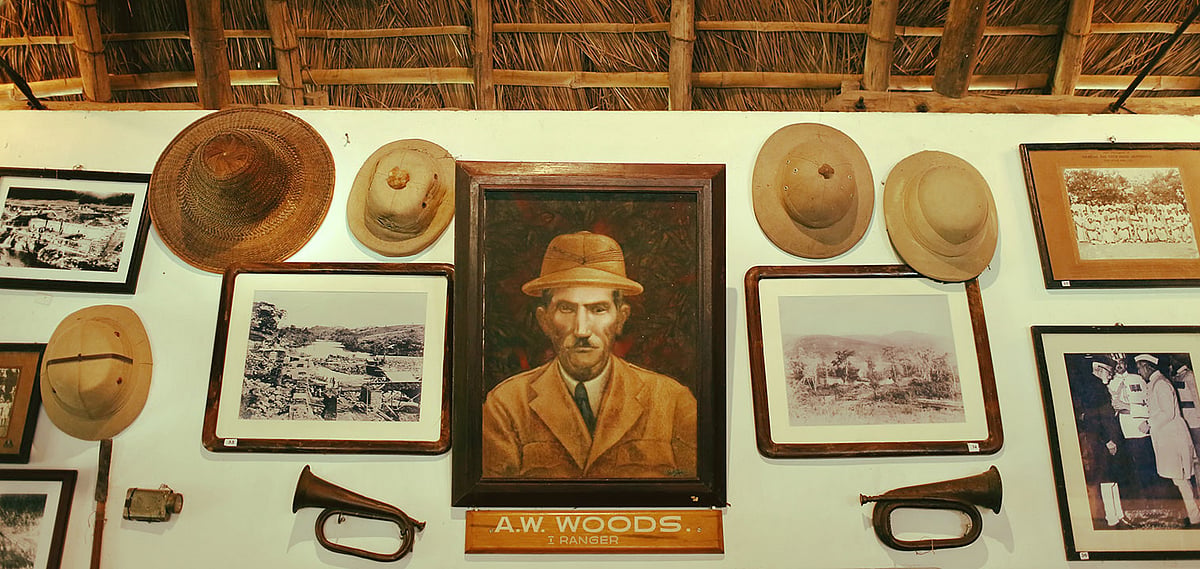 The Woodhouse Lounge