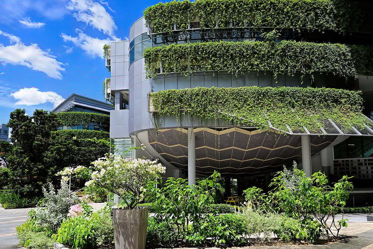 Green facade at Singapore Management University School of Accountancy building