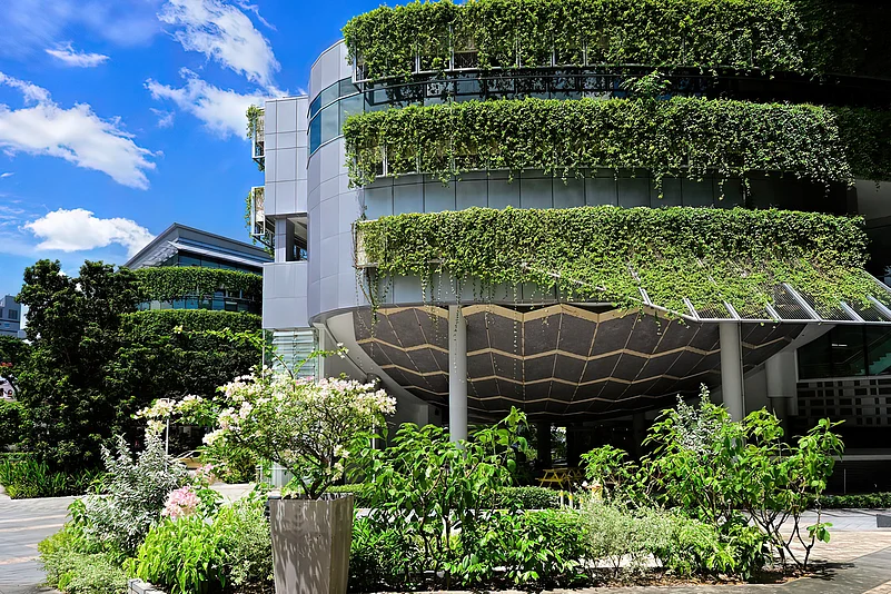 Green facade at Singapore Management University School of Accountancy building