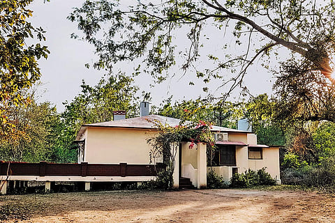The lodge is set in a forested estate of 50 acres