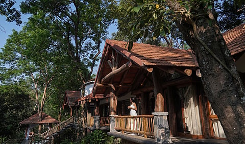 Visitors to the Wayanad estate are typically nature, wellness and lifestyle enthusiasts