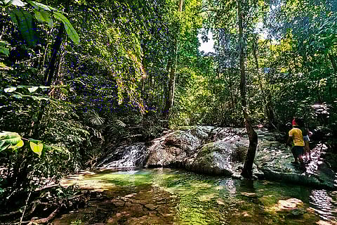 The water pool at the end of the hike with the Habitat Institute Activity Center