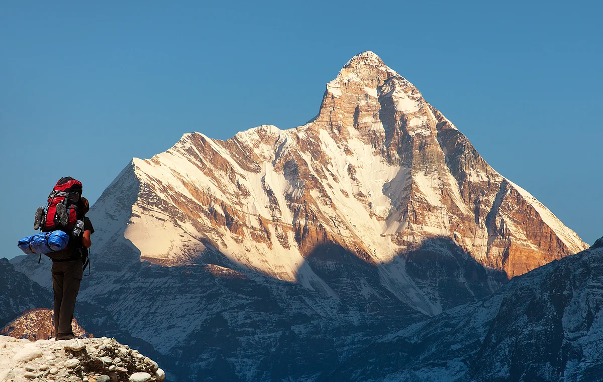 Daniel Prudek/Shutterstock.com