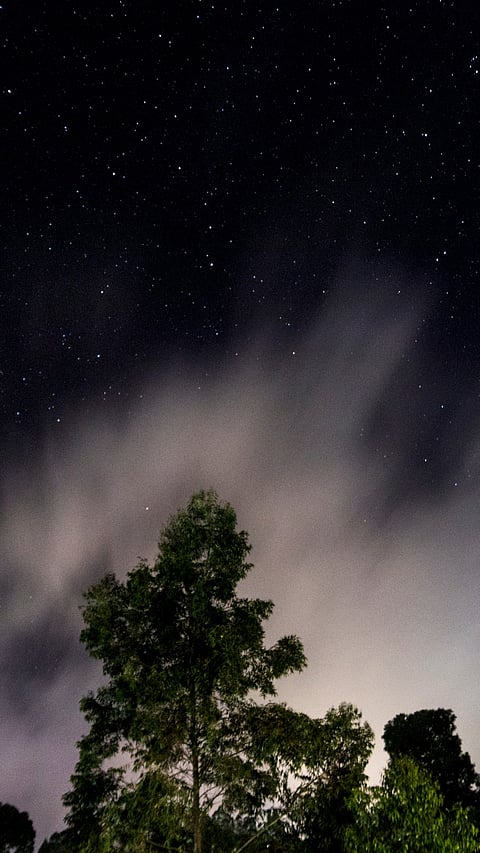 The night sky as seen in Kodaikanal