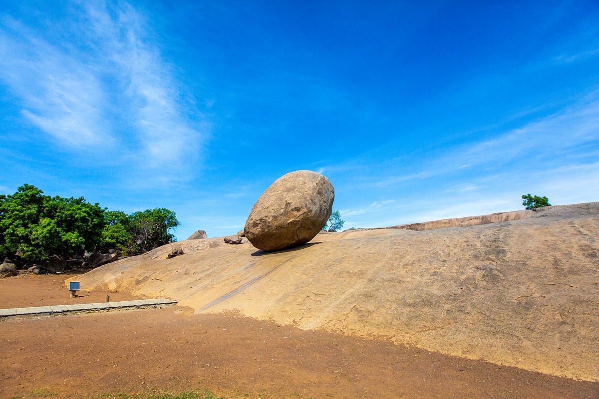 Krishna’s Butterball seen resting along the slope