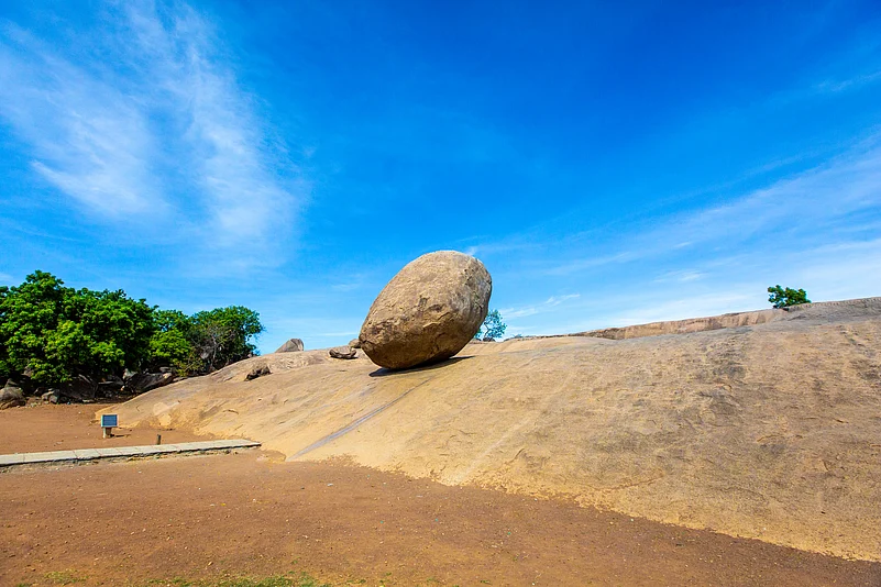 Krishna’s Butterball seen resting along the slope
