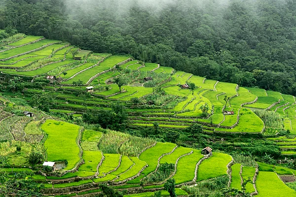 Shutterstock : Hill Stations In The Northeast