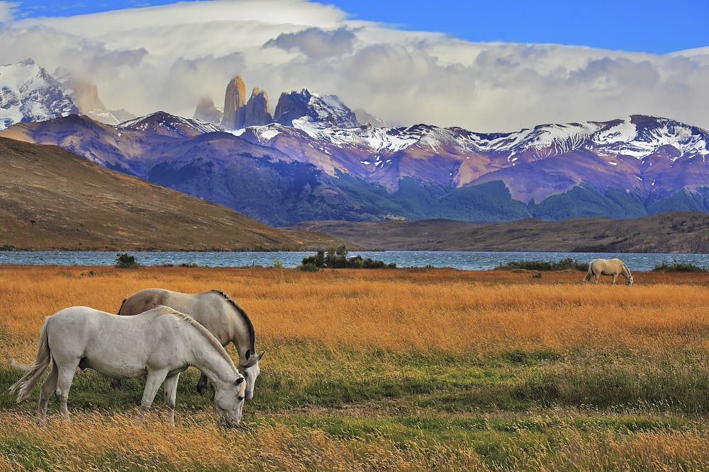 Torres del Paine, Chile