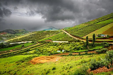Shutterstock : A beautiful view of the valleys and mountain farming of Ooty with houses and church