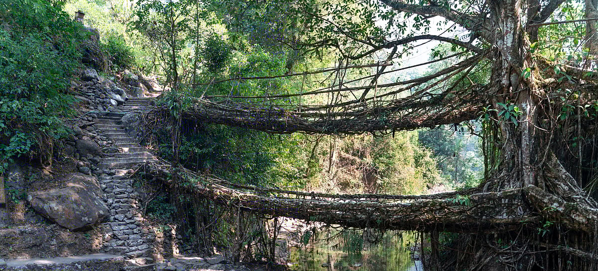 The double decker bridge in Cherrapunji
