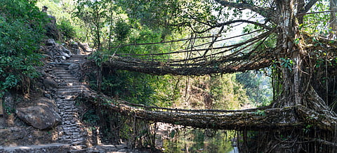 The double decker bridge in Cherrapunji