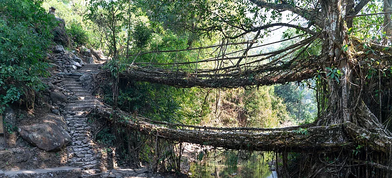 The double decker bridge in Cherrapunji