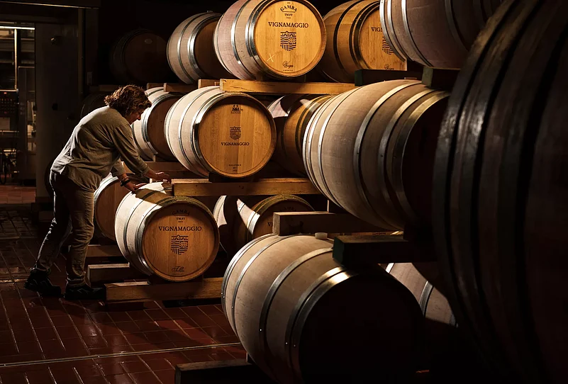 Wine cellar at Chianti vineyard