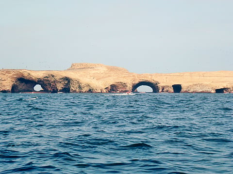 Ballestas Island in Peru