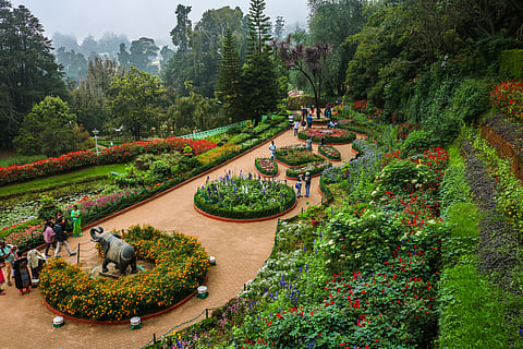 The Botanical Gardens of Ooty