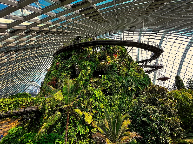 The Cloud Forest in Gardens by the Bay