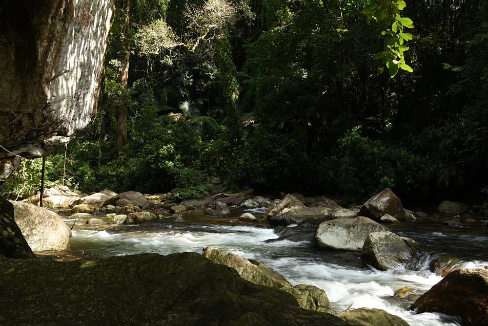 Menmunty Falls in Ponmudi