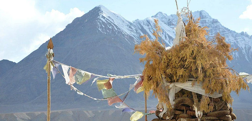 The view of the mountains