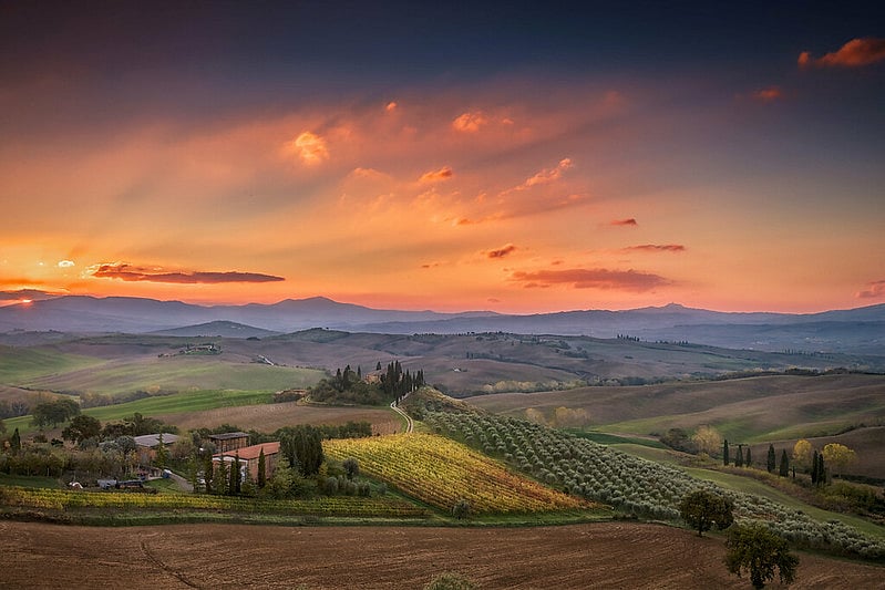 Under the Tuscan Sun