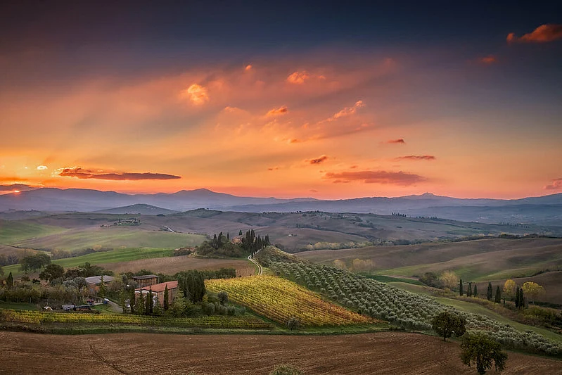Under the Tuscan Sun