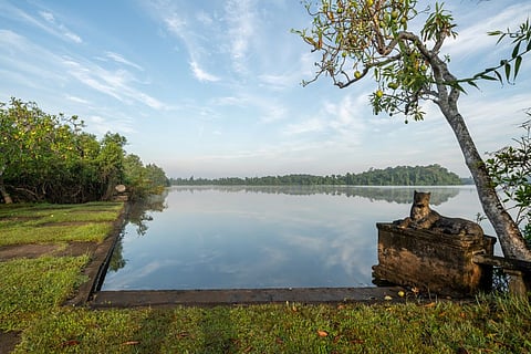 Dedduwa Lake in Bentota