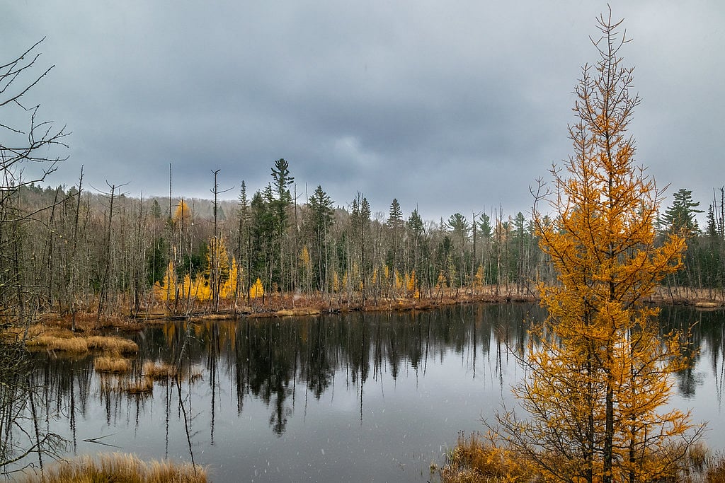 Algonquin Provincial Park