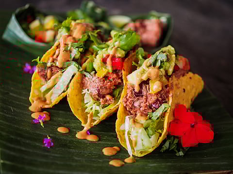 Yummy jackfruit tacos