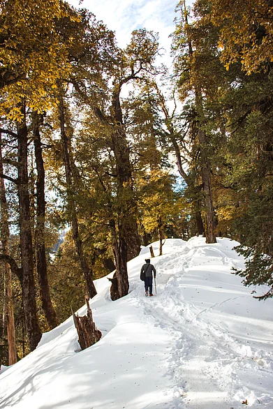 Shutterstock : Enroute Kedarkanth Trek in Uttarakhand