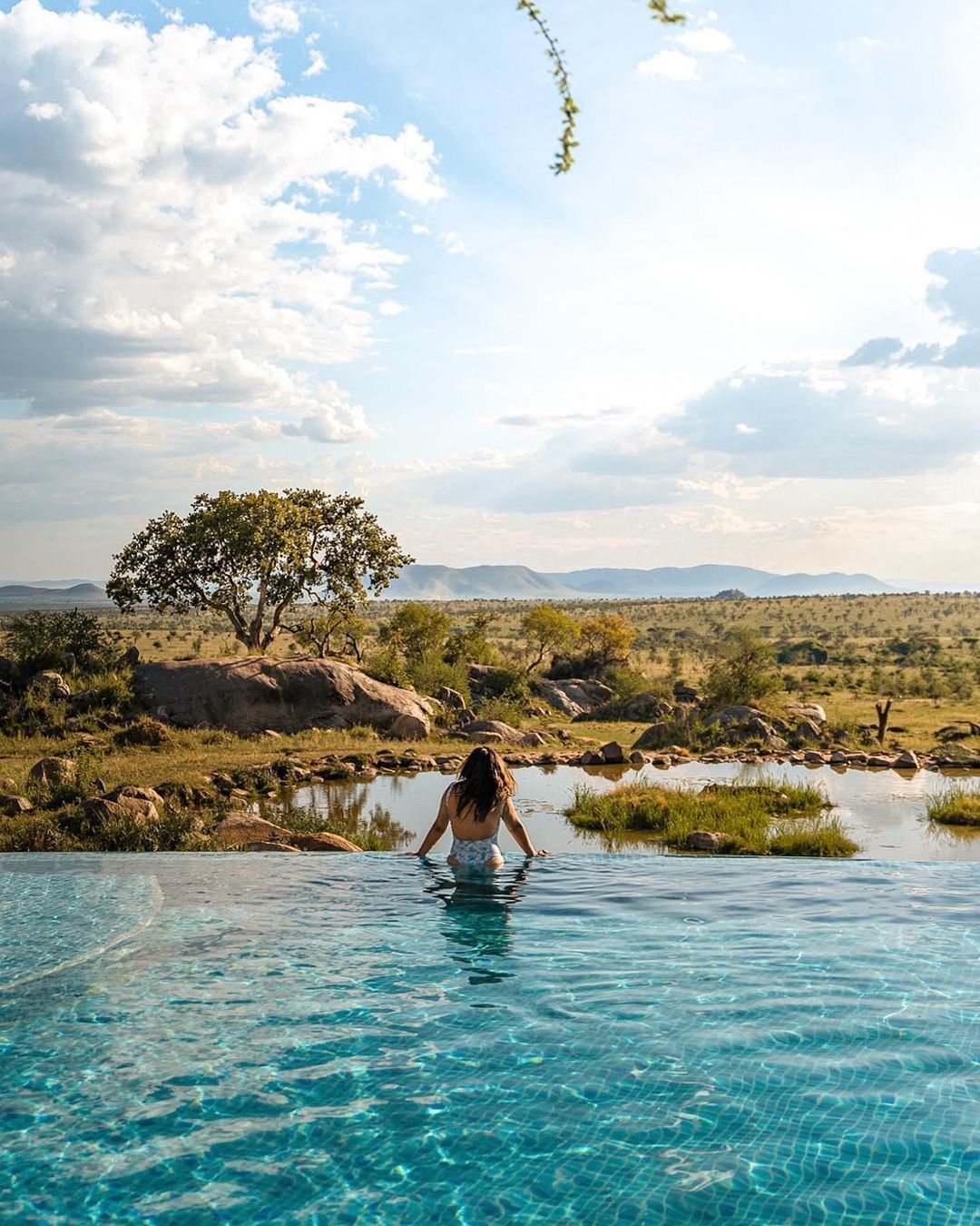 Dreamy scenes in Serengeti