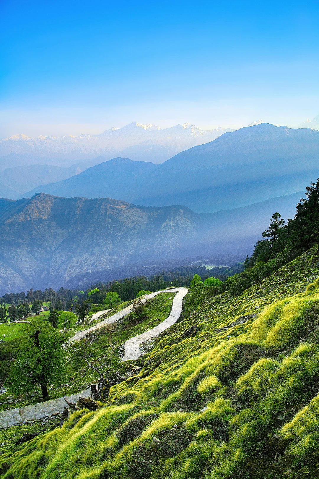 Beautiful scenic landscape of Chopta, Uttarakhand