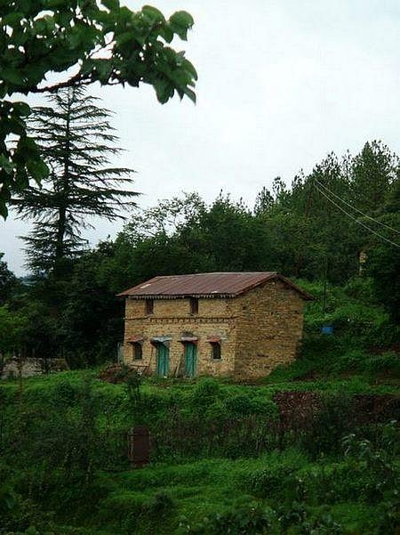 Keep an eye out for the rich flora and fauna in and around the property

