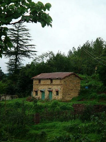 Keep an eye out for the rich flora and fauna in and around the property