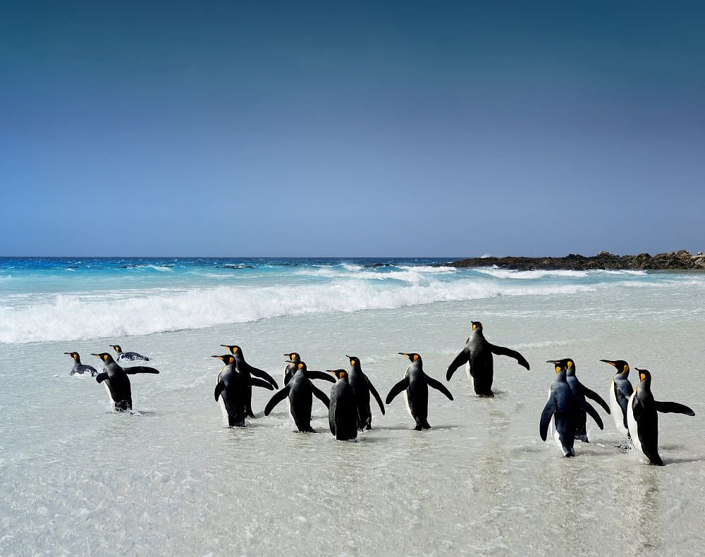 Puerto Madryn, Argentina