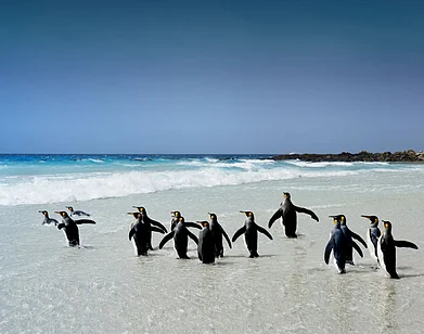 Puerto Madryn, Argentina