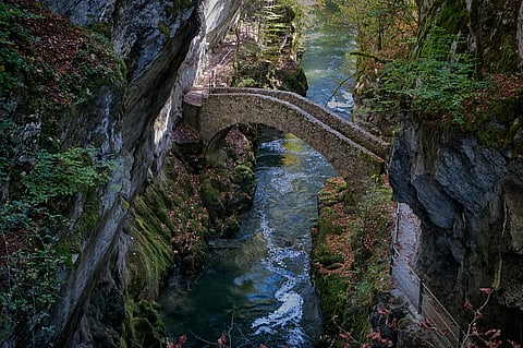 Saut de Brot bridge