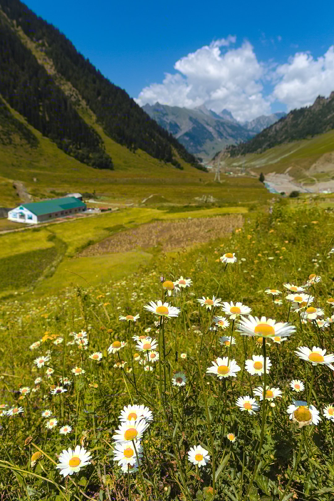 A view of the Valley of Flowers Trek