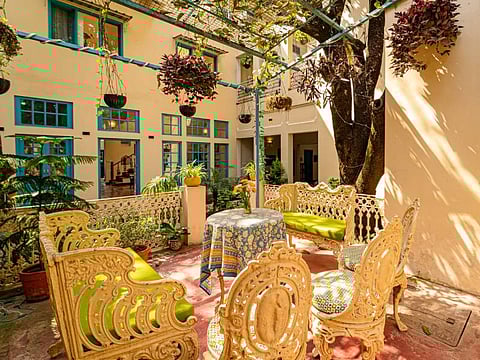 The Mango Tree Courtyard in Dehradun welcomes animal companions free of charge