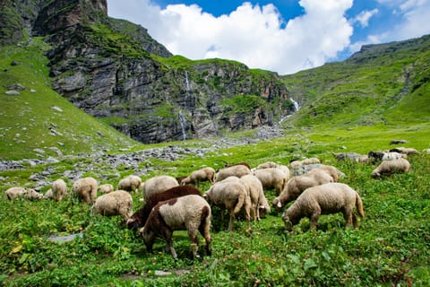Inside the Hampta Pass Trek trail