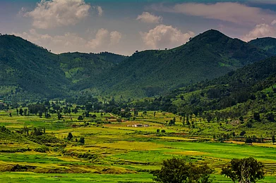 Shutterstock : Araku Valley, a hill station in Andhra Pradesh