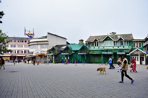 The Darjeeling Mall