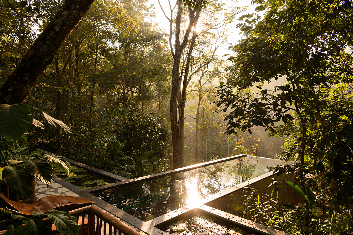 Estate Plavu integrated fruit trees and birdbaths, such as the lily ponds surrounding the deck, in pursuit of sustainable architecture 