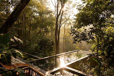 Estate Plavu integrated fruit trees and birdbaths, such as the lily ponds surrounding the deck, in pursuit of sustainable architecture