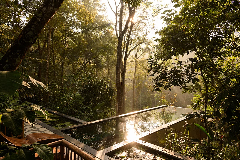 Estate Plavu integrated fruit trees and birdbaths, such as the lily ponds surrounding the deck, in pursuit of sustainable architecture