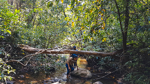 Walking upstream at Wayanad Wild