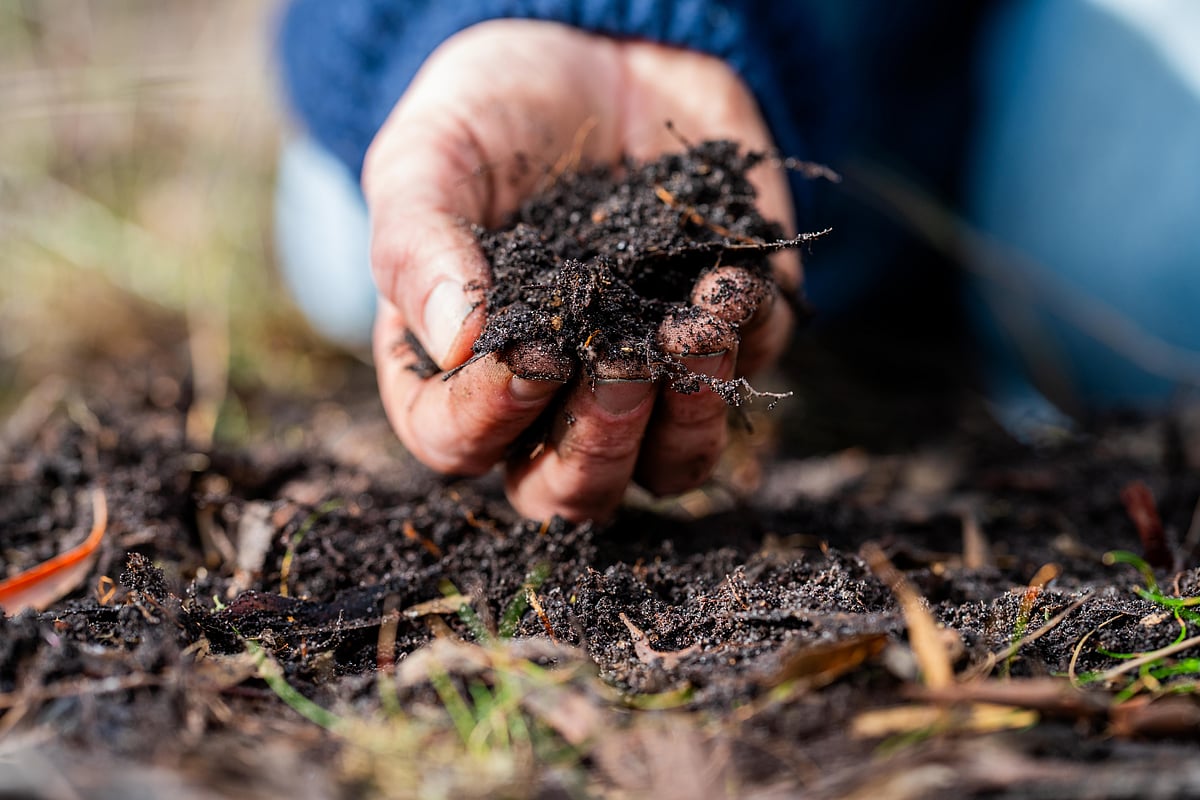 Composting is possible even in an apartment