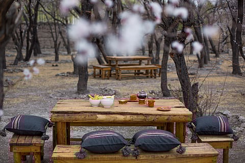 Stok Palace keeps you rooted in the region through authentic Ladakhi dishes made by following heirloom recipes