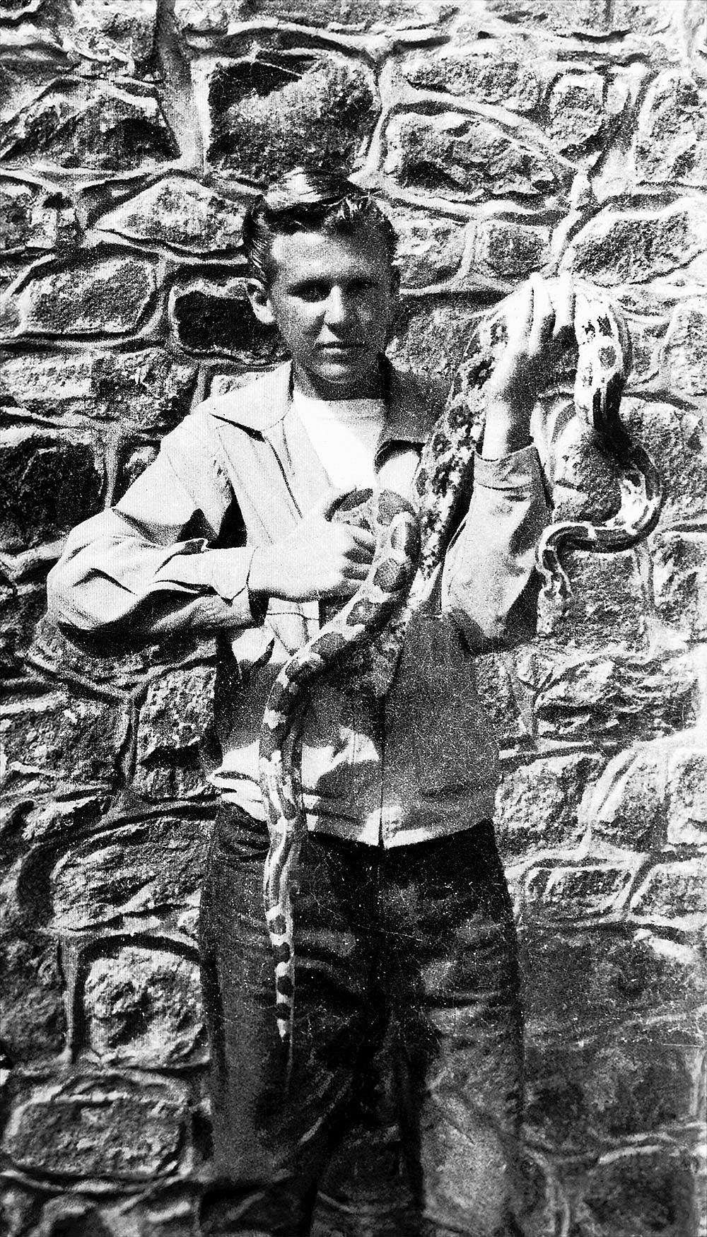 Romulus Whitaker with a prairie rattler that bit him in El Paso