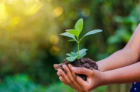 World Environment Day 2024