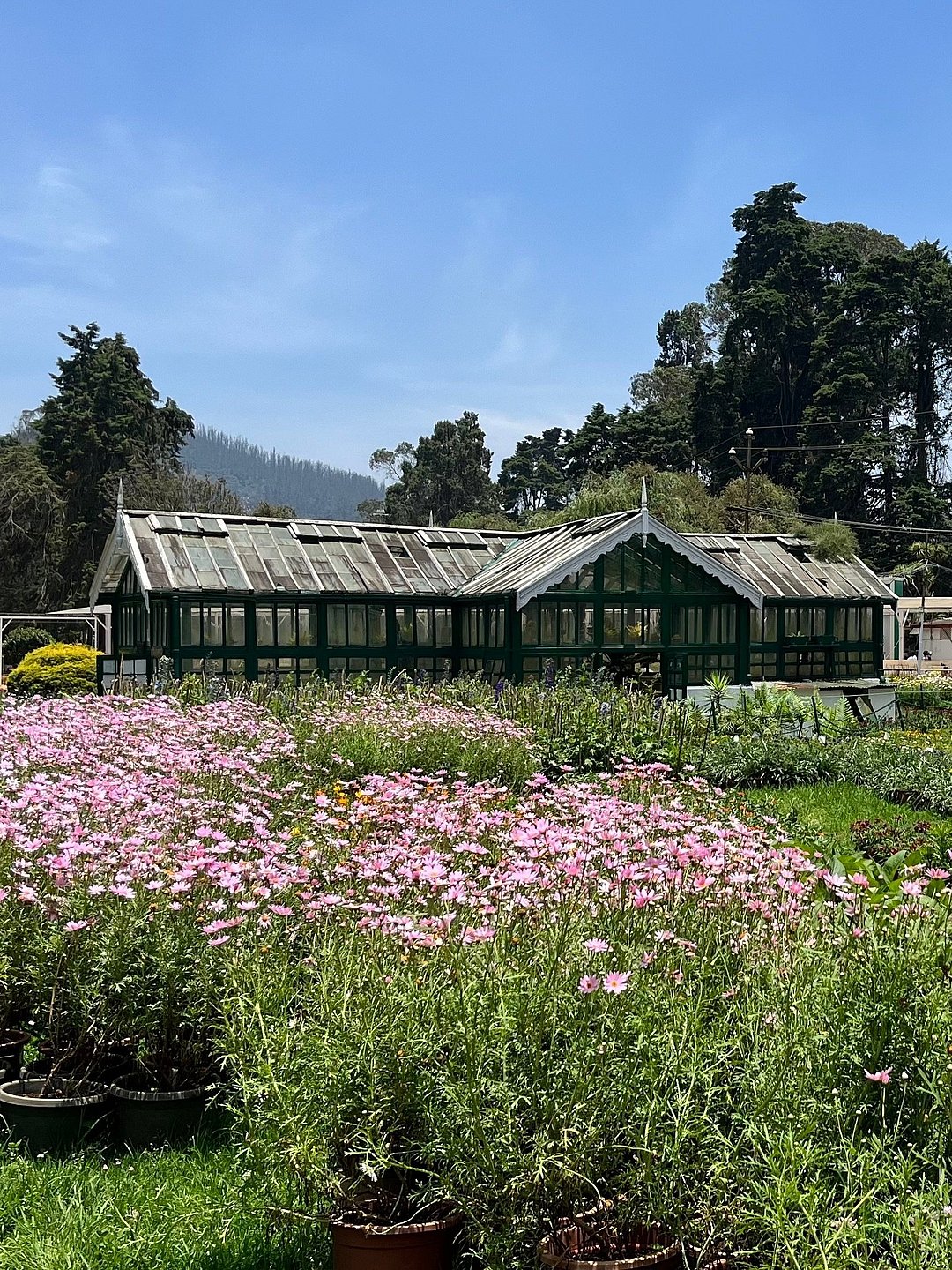 Botanical Gardens